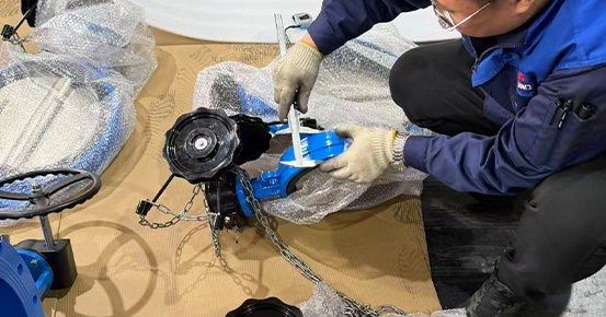 جاري فحص ما قبل الشحن لمشروع تسليم مفتاح في شمال أفريقيا بقدرة 2.5 طن في الساعة